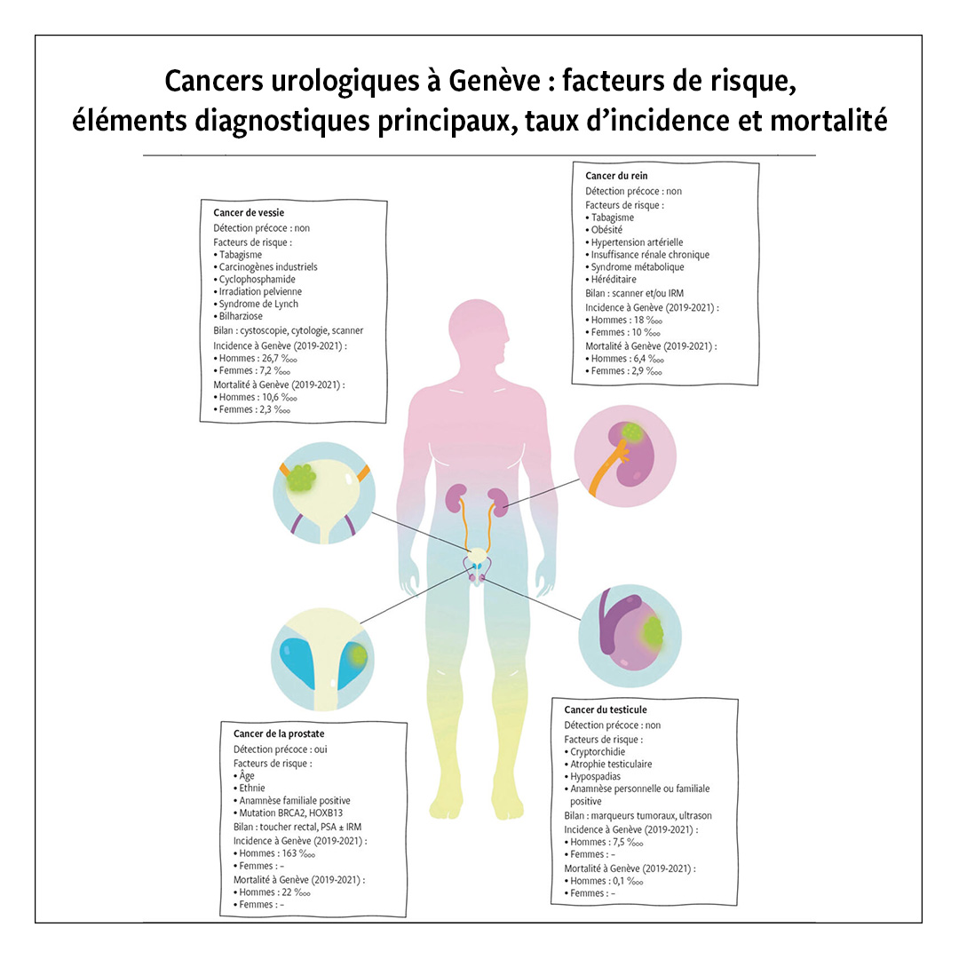 Revue Médicale Suisse (@revmedsuisse) on Twitter photo Les cancers urologiques représentent un enjeu majeur de santé publique depuis de nombreuses années, en raison de leurs incidence, morbidité et mortalité considérables.
À lire : revmed.ch/revue-medicale…
<a href="/elijeandin/">Elisabeth Grobet-Jeandin</a>
<a href="/hug_ge/">HUG</a> <a href="/UNIGEnews/">Université de Genève</a> Les cancers urologiques représentent un enjeu majeur de santé publique depuis de nombreuses années, en raison de leurs incidence, morbidité et mortalité considérables.
À lire : revmed.ch/revue-medicale…
<a href="/elijeandin/">Elisabeth Grobet-Jeandin</a>
<a href="/hug_ge/">HUG</a> <a href="/UNIGEnews/">Université de Genève</a>
