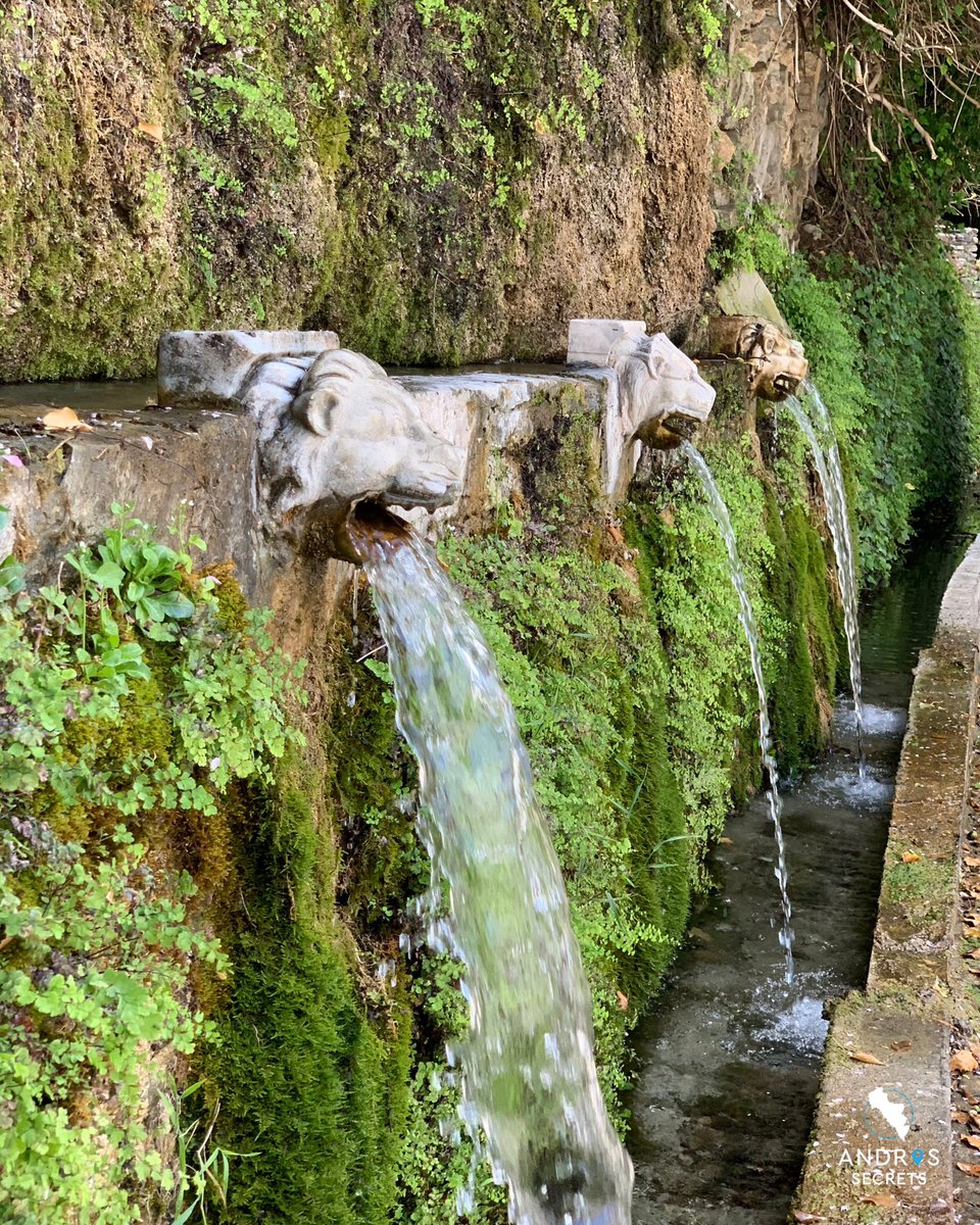 andros_secrets's tweet image. 📍Menites Springs 💦

📸 @andros_secrets 

#andros #androsgreece #androsisland #greece #cyclades #visitgreece #andros_secrets #cyclades_islands #greekislands #greekbeaches #wonderfulplaces #menites #menitesspring #greekisland #travel_greece #discovergreece