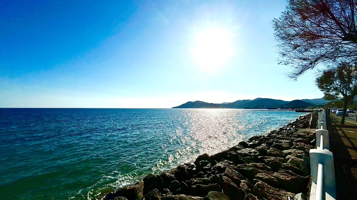 Caro Clem 🪸🌊⛵️ tweet media