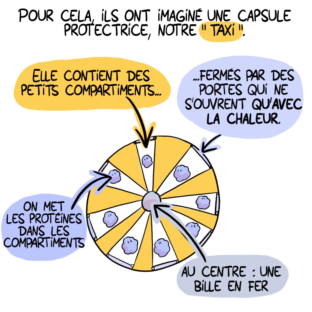 CNRS_Alsace's tweet image. 🗨️𝗕𝗗𝑒́𝑐𝑜𝑢𝑣𝑟𝑜𝑛𝑠 CORELMAG 8/13
Concevoir des taxis à protéines pour (dé)livrer des médicaments avec précision : un défi relevé par l&apos;@IPCMSlab ! Découvrez ce projet en BD 1 jour = 1 vignette  
@AgenceRecherche @CNRS @CNRSchimie 
#SAPSCNRS #sante #chimie