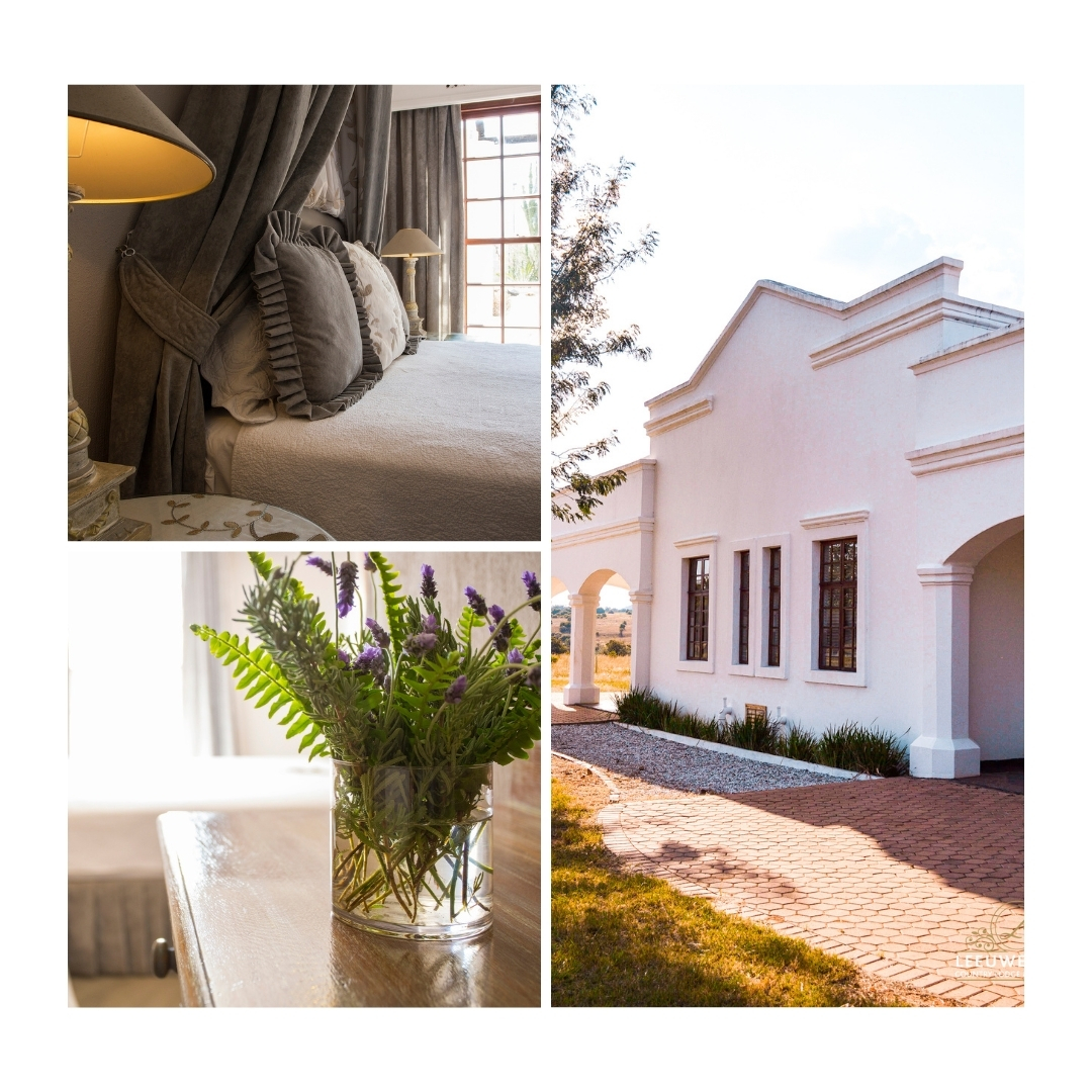 Embrace the serenity of nature and the charm of country living at our tranquil lodge.

#HolidayForTwo #AdventureAwaits #ParadiseFound