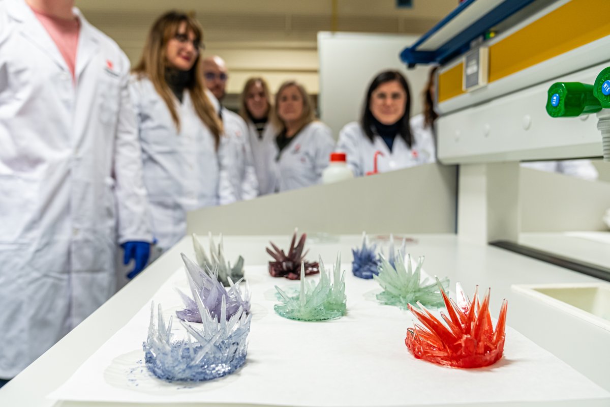 unirioja's tweet image. 📸Esta semana ha concluido la formación del profesorado de @educarioja que participa en el Concurso de Cristalización en la Escuela

▶️Ahora toca el trabajo con sus alumnos...🧑‍🔬

@lariojaorg @fecyt_Ciencia @qlinstruments #Linlab #uccunirioja

➕Info👇
s.mtrbio.com/pwlqrfrmcy