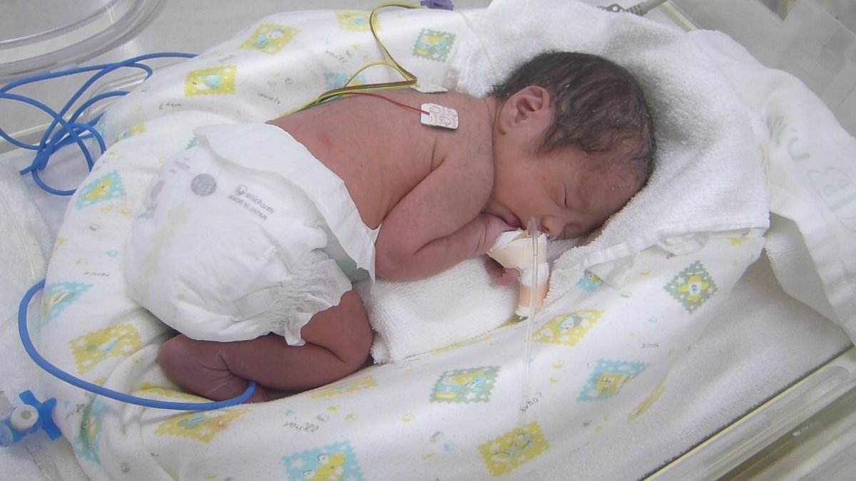 F'elis Rhul @子育て中なので少しだけイン tweet media