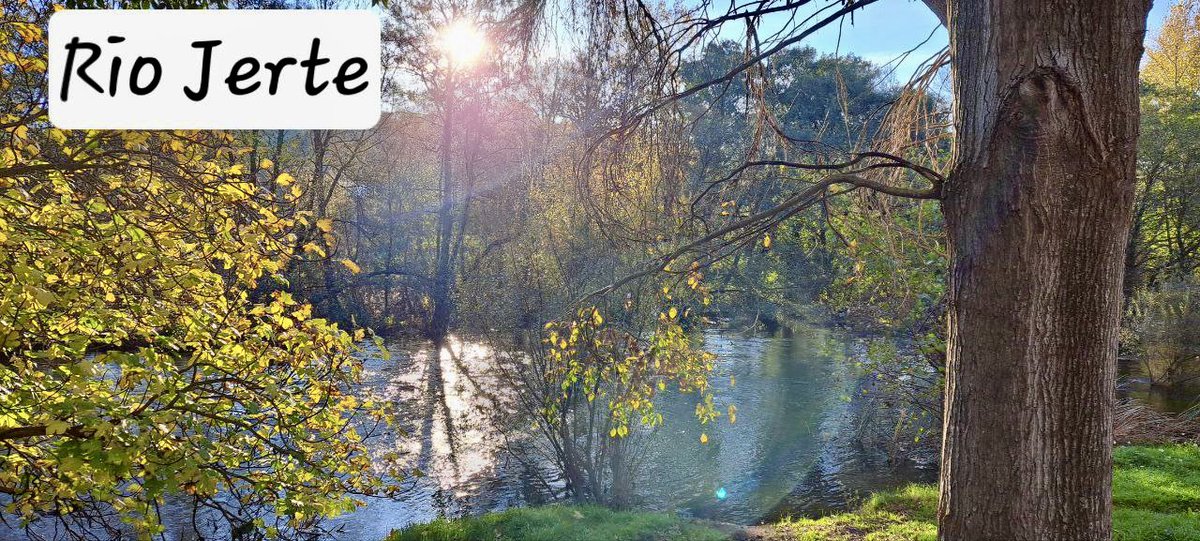Talleres medioambientales "Jóvenes por los ríos" con los grupos de 3  ESO B y C. Realizados por Adenex y solicitados por el Dpto de Bio y Geo del centro. Han realizado análisis físico-químicos y biológicos para conocer la calidad medioambiental del Río Jerte y sus ecosistemas.