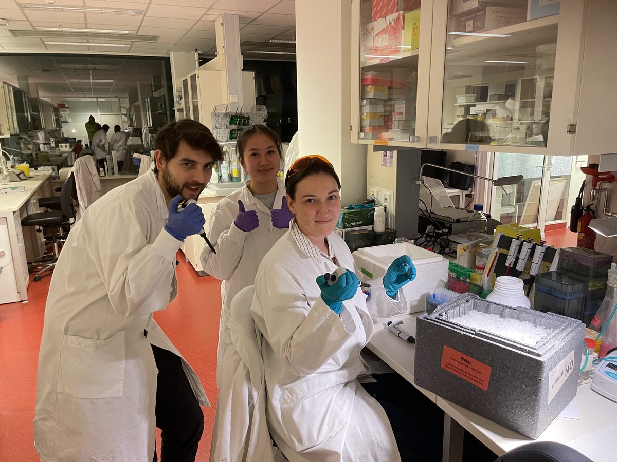 Hard-working photobiologists on a late Friday evening! 🤩🌞👨🏻‍🔬👩🏼‍🔬⁦<a href="/Riccischi/">Riccarda K Læret</a>⁩ #ArnoBruel #MariaNguyen