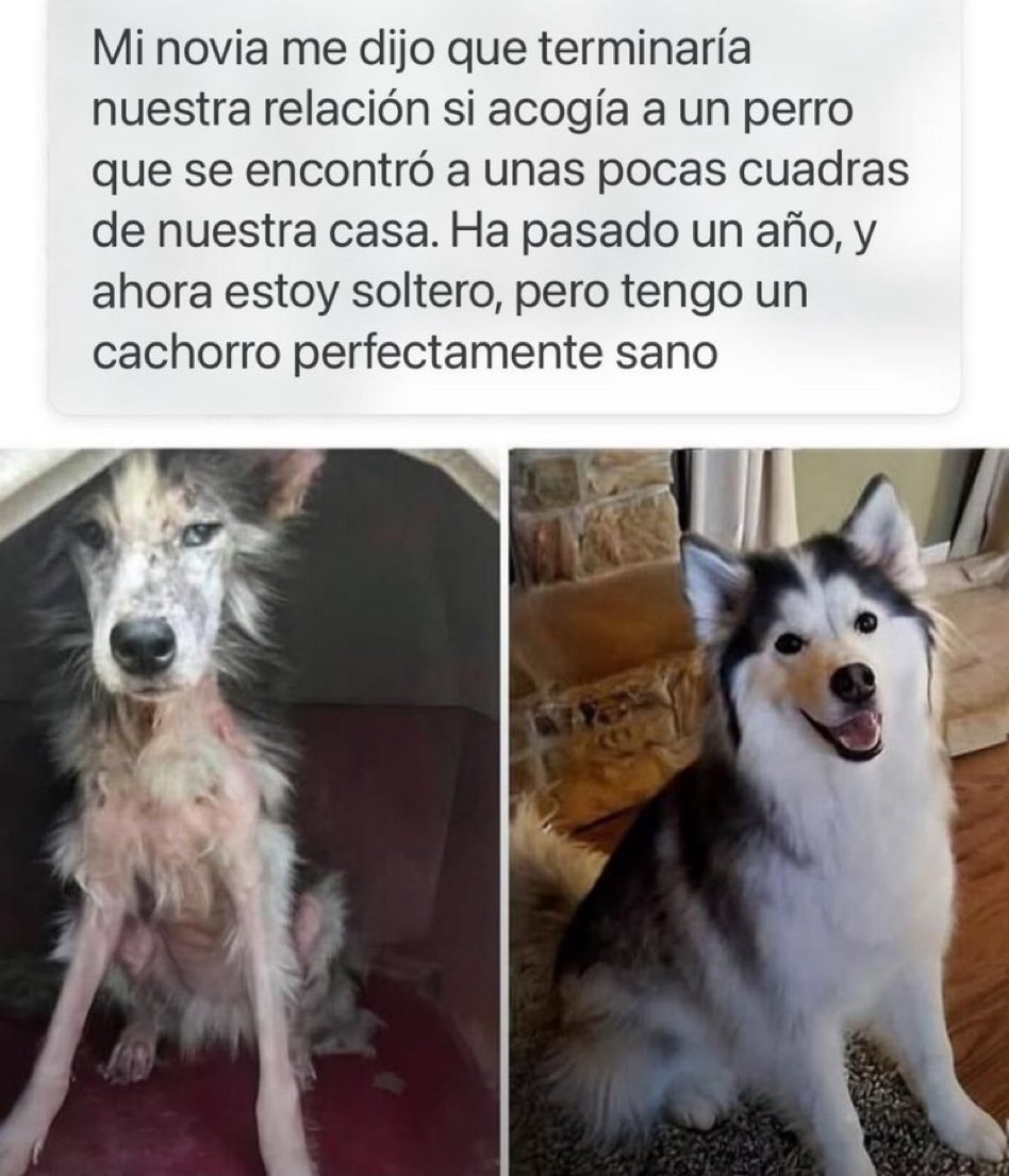 DiloConPerritos's tweet photo. Ahí no era, hermano. https://t.co/4gPaLm9Y2r