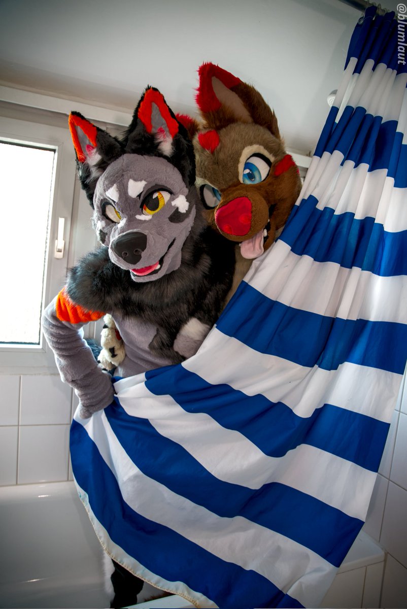 Do you mind??? Learn to knock 😳
📸 <a href="/blumlaut/">blumlaut📸</a> 
💦<a href="/HijackShiba/">Hijack ShibAH</a> 
#FursuitFriday