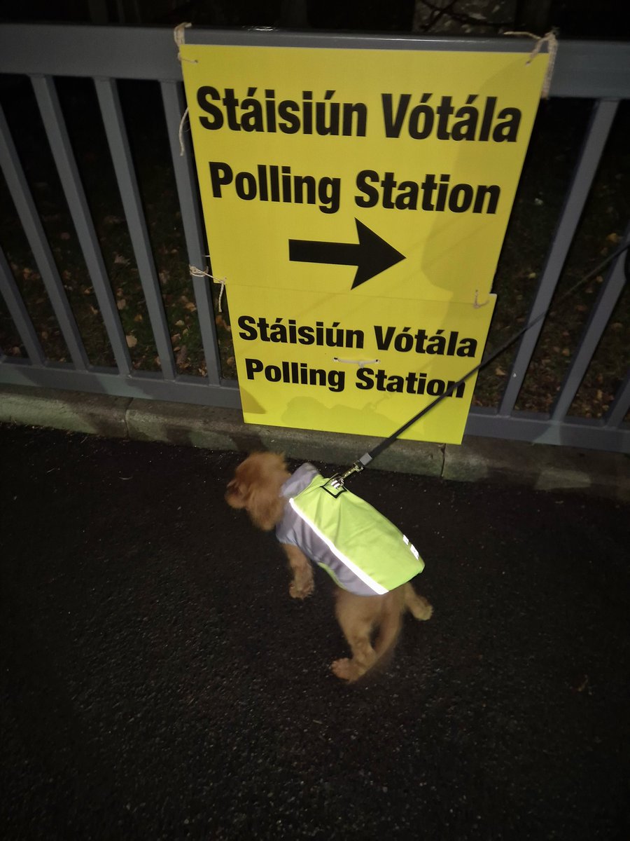 Olly's first vote for cast for  <a href="/EOBroin/">Eoin Ó Broin</a> and <a href="/MarkWardSF/">Mark Ward T.D.</a>  🗳 #Election2024 #dogsatpollingstations #VoteLeftTransferLeft