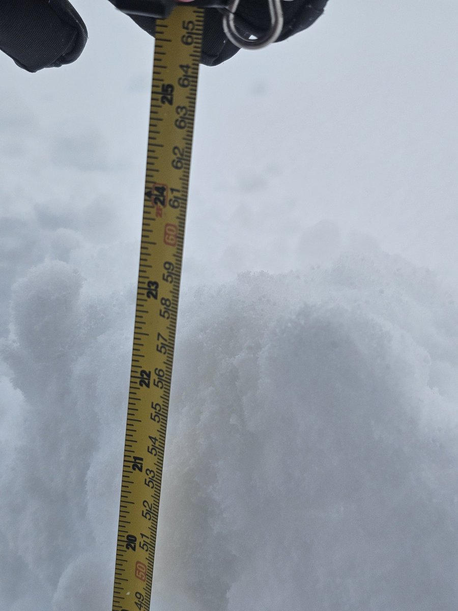 23 inches ... and there was nothing on the ground when I went to bed. Close to another foot has fallen in the last three hours. Erie, Pa. unofficial motto: "Have you been here in the summer?"
