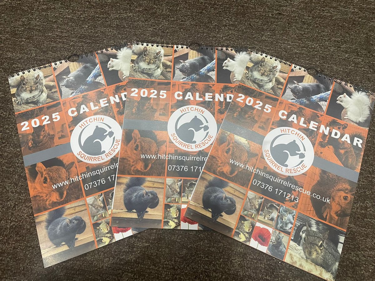 We now have our 2025 calendars for those that have ordered one we will get out to you thank you 🩶🐿️🐿️🐿️🐿️ hitchinsquirrelrescue.co.uk