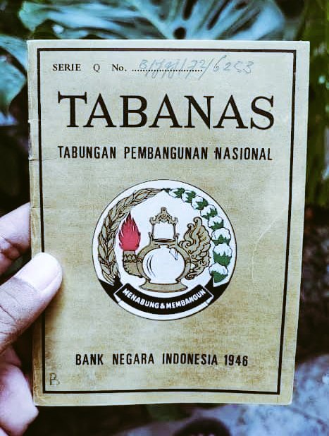 Naoliticum tweet media