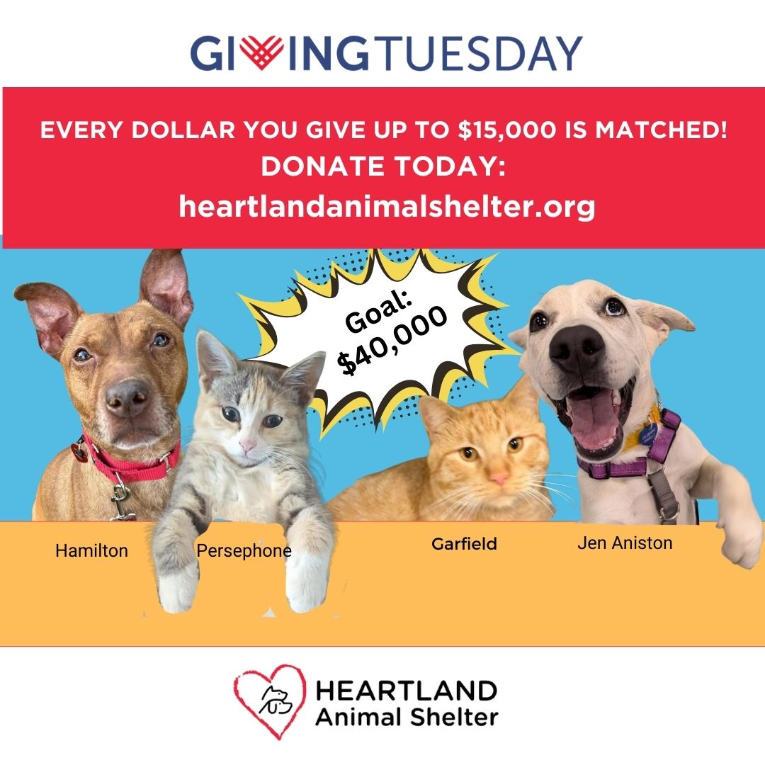 Giving Tuesday is only a few days away. Contribute today and your money will be MATCHED up to $15,000, thanks to Sharon and Jerry Rush and an anonymous donor! This means that for every dollar you give, our animals receive two dollars! 
heartlandanimalshelter.org/news_events/gi…

#GivingTuesday