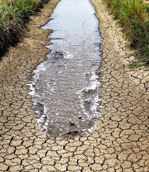 " أولم يروا أنا نسوق الماء إلى الأرض الجرز " ..
ما من خير يكتب لك، إلا ويعرف طريقَك .. بل يساق إليك سوقاً .. فلا تقلق، وثق بربك "