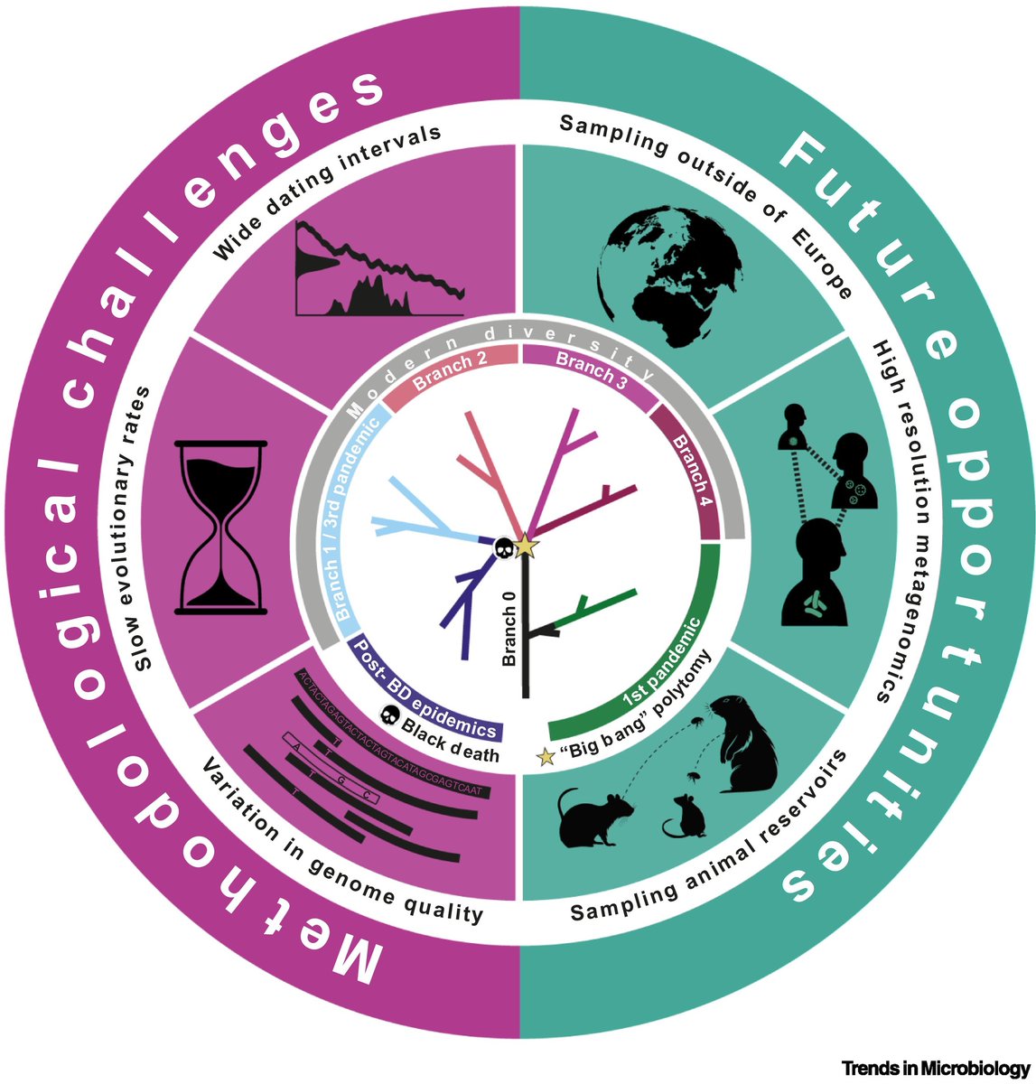 Historical plague pandemics: perspectives from ancient DNA

Forum article by Emily Gaul (<a href="/emilycsgaul/">Emily Gaul</a>) &amp; Maria Spyrou (<a href="/ma_spyrou/">Maria Spyrou</a>)

dlvr.it/TGTk99