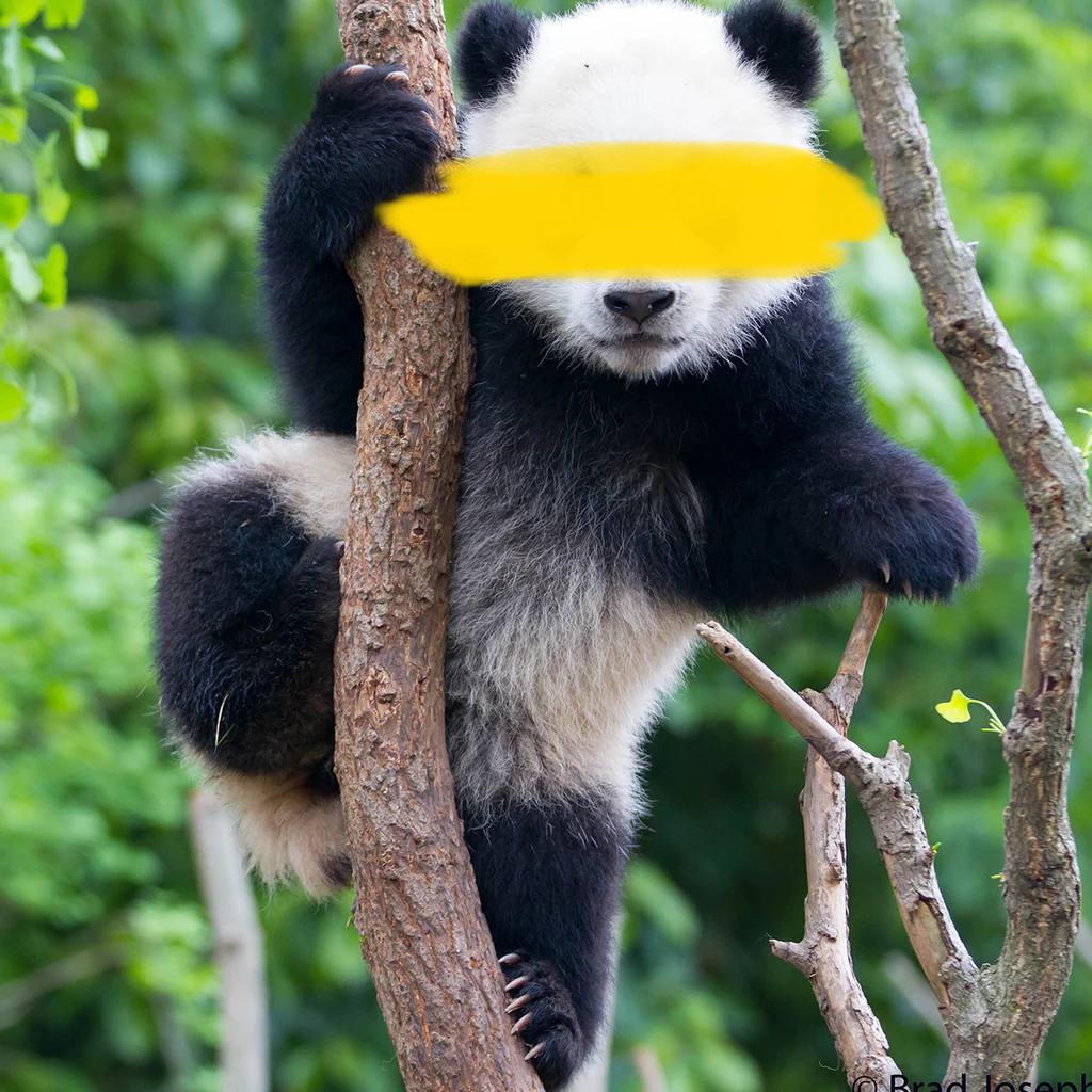 Betpanda.io tweet media