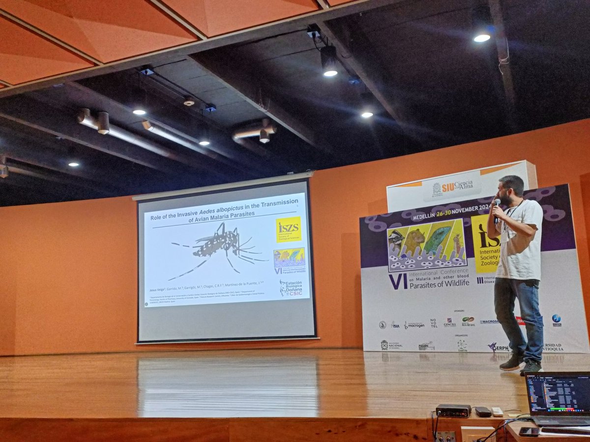 Marta Garrigós (@garrigosmarta) on Twitter photo Amazing talk by my colleague <a href="/Jesus_Veiga_/">Jesus_Veiga</a> on Aedes albopictus and avian malaria, a really poorly studied interaction so far!🦟 @malariaconf2024 Amazing talk by my colleague <a href="/Jesus_Veiga_/">Jesus_Veiga</a> on Aedes albopictus and avian malaria, a really poorly studied interaction so far!🦟 @malariaconf2024