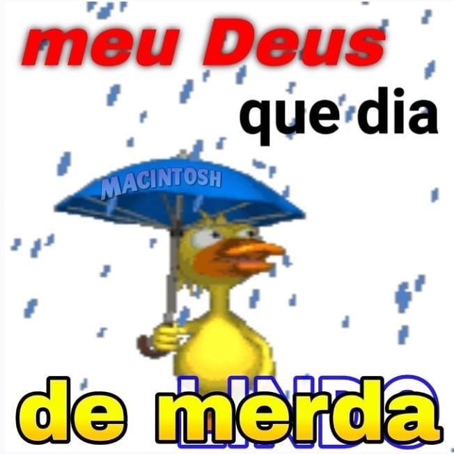 shitpostverdade's tweet photo. https://t.co/0PZLLc3hWY
