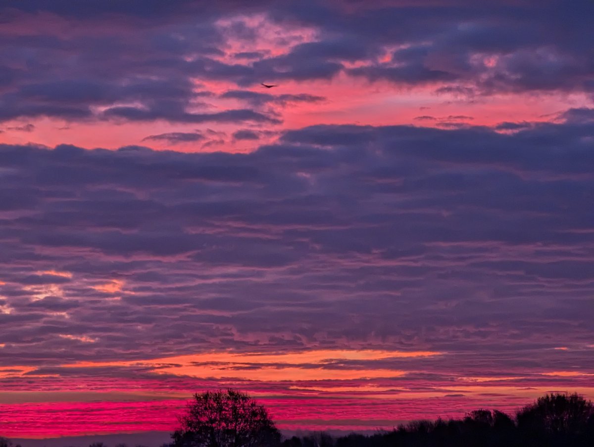 Jean Hensey tweet media