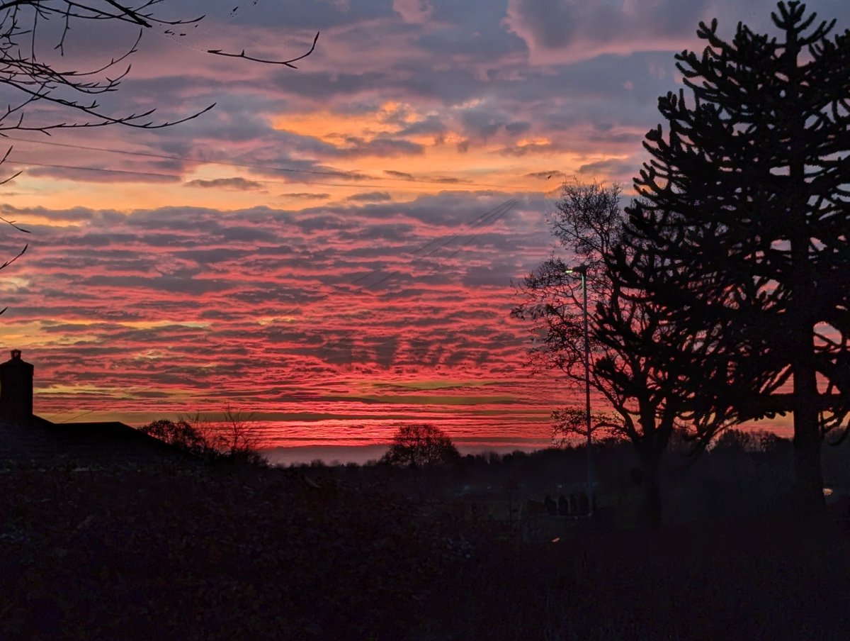 Jean Hensey tweet media