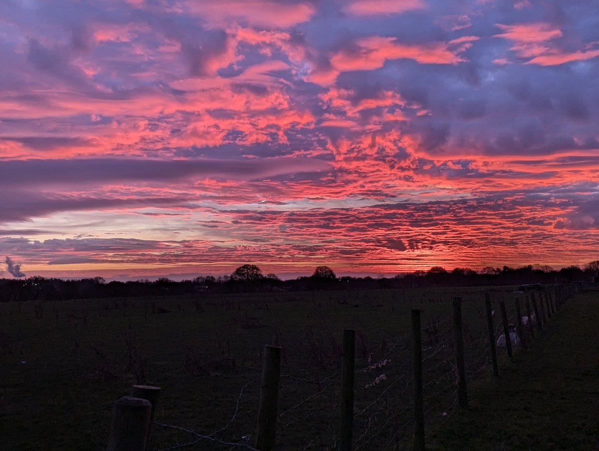 Jean Hensey tweet media