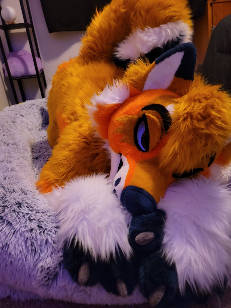 What does this dog have to do to convince you to give him your leftovers? 🍗🥩