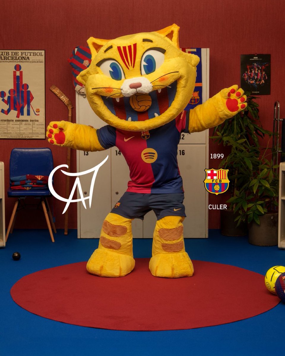 ESTE JODIDO GATO NOS DARÁ LA SEXTA