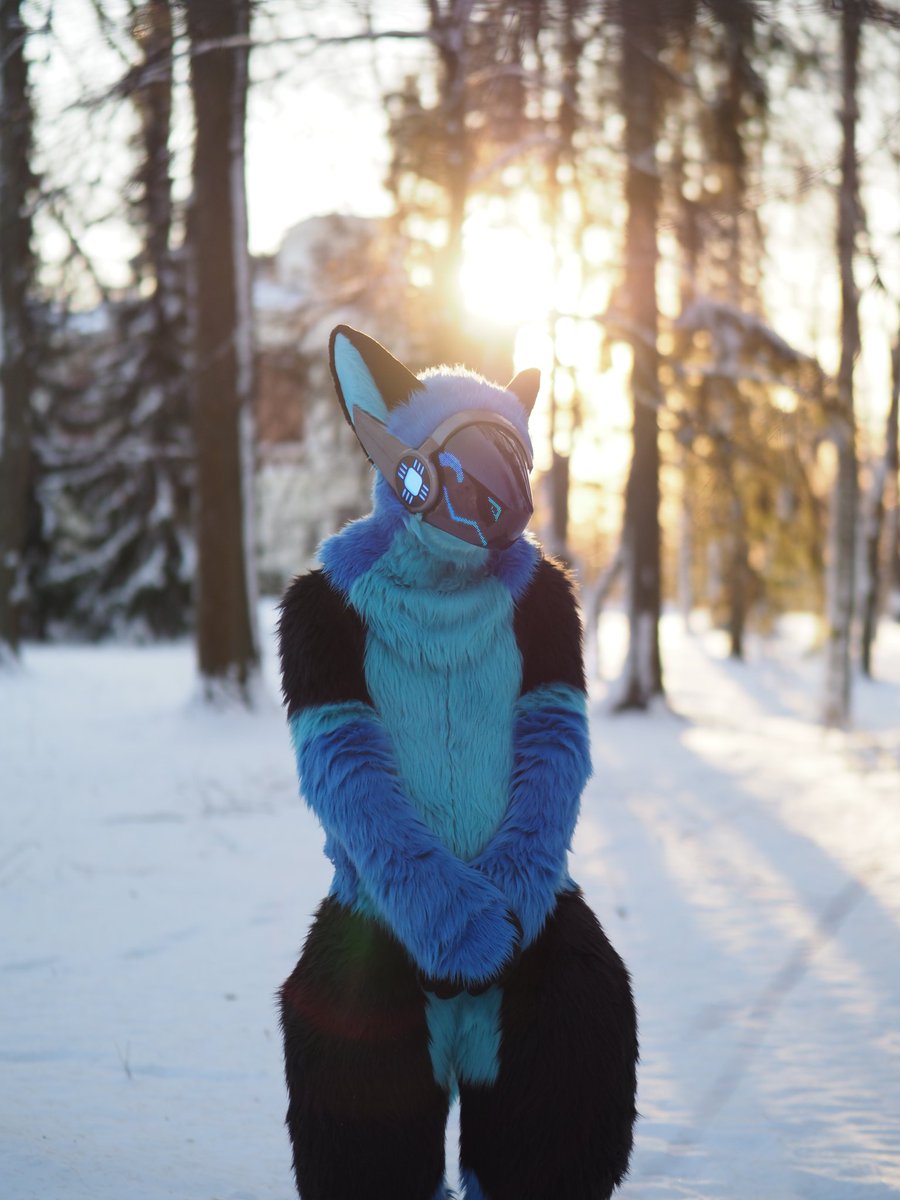 Hope you all have a sunny and amazing #fursuitfriday 

📸@/matttee_ (insta)

#furry #protogen #bittiprotogen