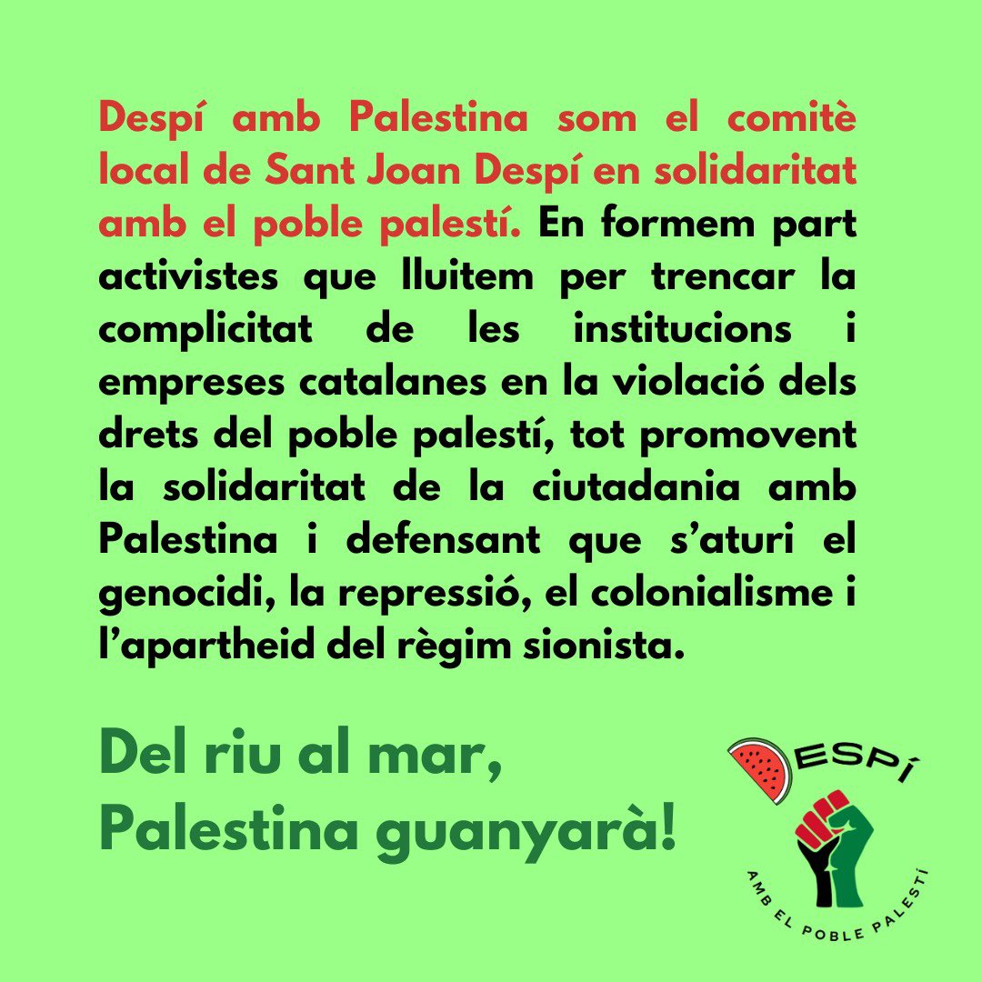 DespiPalestina's tweet photo. Avui, per recordar el #29N: Dia internacional de solidaritat amb el poble Palestí, us volem fer arribar la nostra línia de lluita i els valors del comitè local Despí amb Palestina.

Us convidem a totes a participar activament al comitè i a les assemblees que anirem programant. https://t.co/NkbiDJII9M