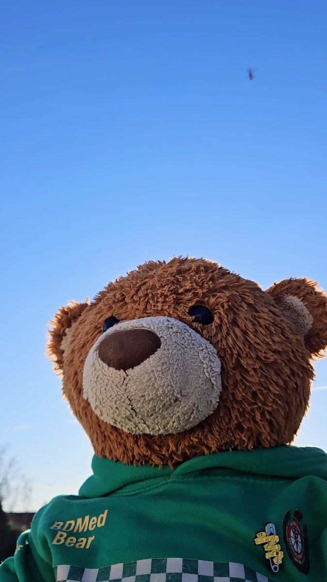 BDMed_Bear's tweet image. Saw @Magpas_Charity  flying over near our house earlier! I waved but they might have too far away to see me. Keep up the amazing work guys &amp;amp; #StaySafe out there! #bearswithjobs #999family  #Cambridgeshire #AirAmbulance #charity