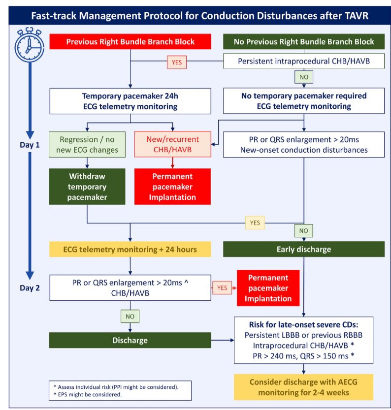 Many thanks for the summary! Writing this review was indeed a huge undertaking. We propose a fast-track protocol and highlight the potential benefits of ambulatory ECG monitoring in selected patients. <a href="/JACCJournals/">JACC Journals</a> <a href="/carla_benavent/">Carla Benavent</a> <a href="/drsuneet/">Suneet Mittal</a> <a href="/KennethEllenbo1/">Kenneth Ellenbogen</a> #tavr