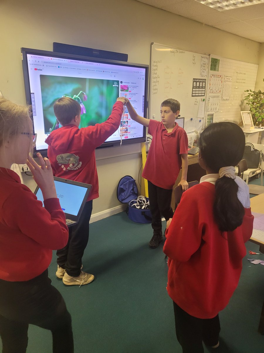 Some excellent science and teamwork skills being worked on today while we investigated the impact of surface area on air resistance #BGScience