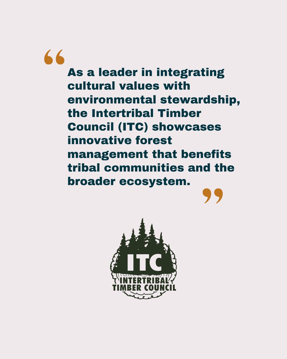 Intertribal_TC's tweet image. 🚨In the News🚨 The Intertribal Timber Council is featured in the USA Today Special Edition for Native American Heritage Month. Visit: usatodayspecial-va.newsmemory.com/?special=Nativ…
 #IFMATIV #TribalForests