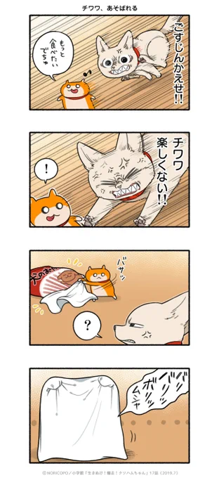 第17話「今日の犬飼家」5/5 