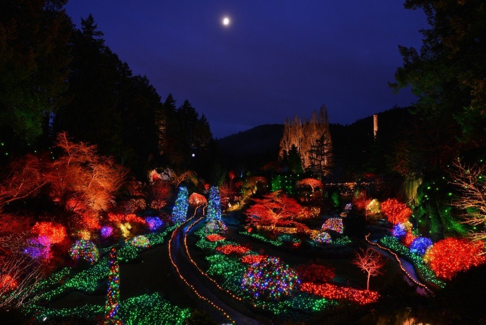 Al Ferraby (@alferraby) on Twitter photo Dave Cowan, CEO, <a href="/butchartgardens/">The Butchart Gardens</a> joins us at 7:50. The Butchart Gardens' Magic of Christmas light up take place on Sunday Dave Cowan, CEO, <a href="/butchartgardens/">The Butchart Gardens</a> joins us at 7:50. The Butchart Gardens' Magic of Christmas light up take place on Sunday