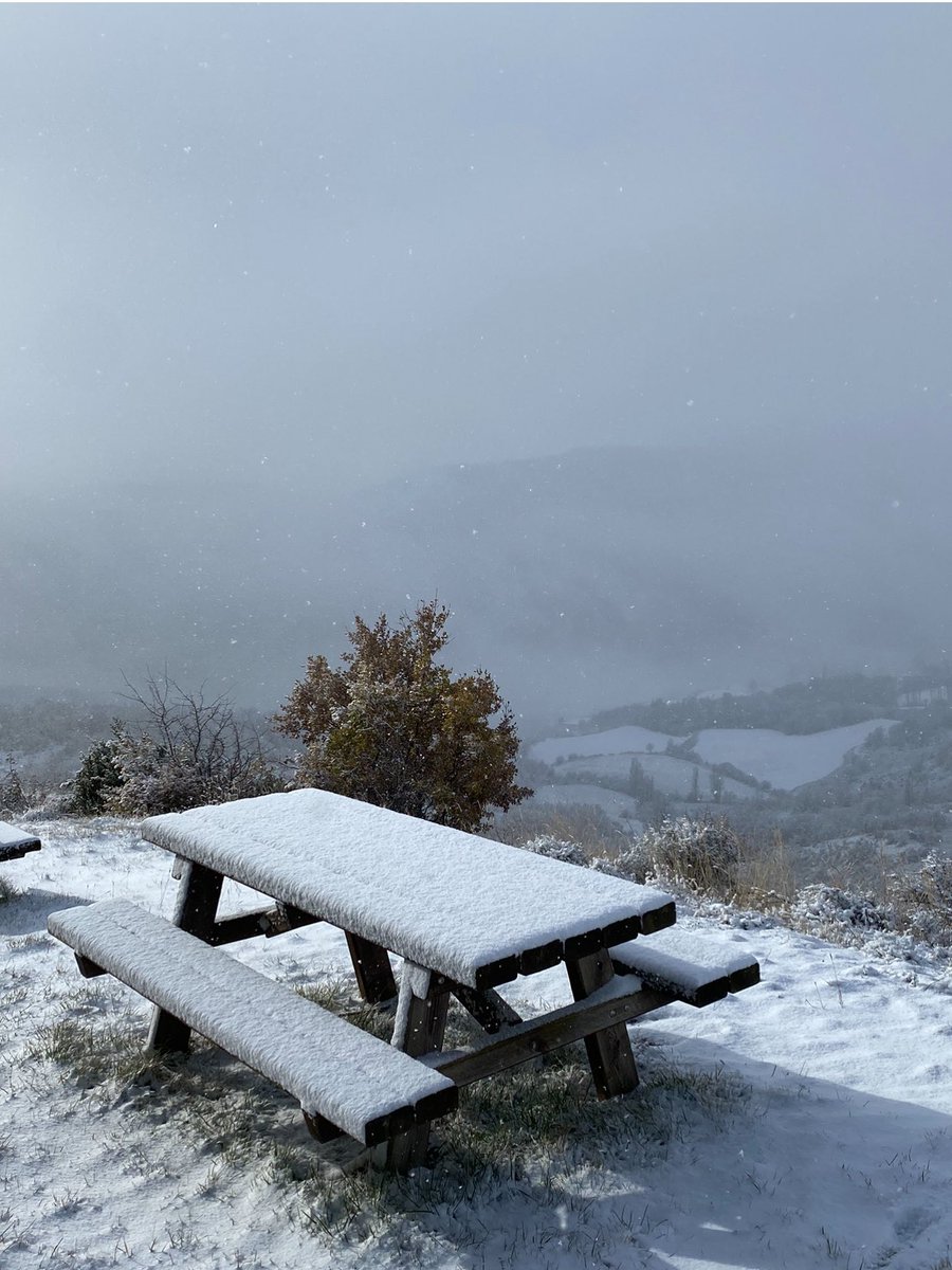 Amigos, les propongo que leamos “El camino de la vida” durante diciembre. 31 días tiene el mes y 31 capítulos el libro. Un capítulo diario, como proponía Tolstói…