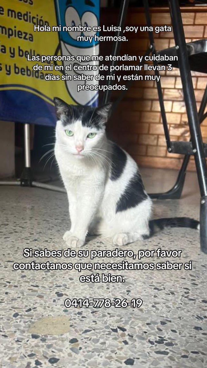 margaritapets tweet media