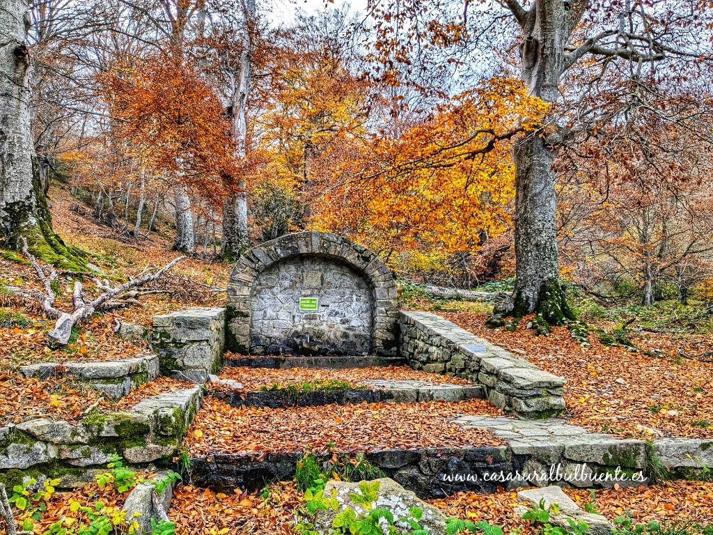 encantomoncayo's tweet photo. Apenas queda color otoñal en los #hayedos del Parque Natural del #Moncayo, pero sigue siendo un placer recorrer sus #senderos con bastante buen tiempo estos días.
En la imagen, Fuente del Sacristán. https://t.co/sdaDOcad55