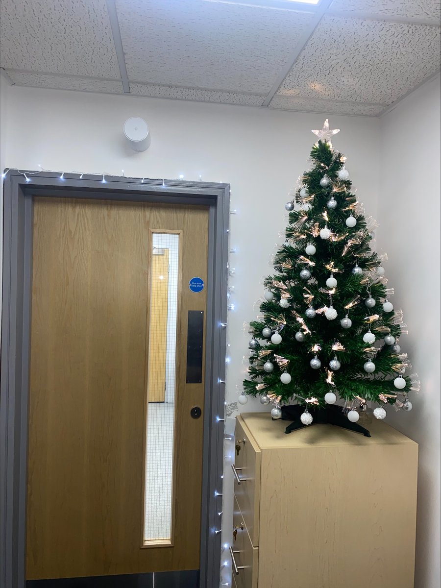 It's beginning to look a lot like Christmas in the Distinctive office! Our tree's are up and the team are in the festive spirit 🌲🎅