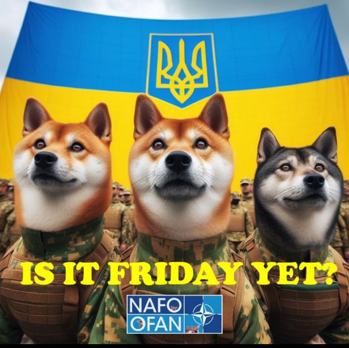 James Graham (@jamesgrahamauth) on Twitter photo <a href="/SydesJokes/">Lord Sydes #FBPE #NAFOFellas ๐ฌ๐ง๐ฉ๐ช๐ธ๐ฌ๐ซ๐ฎ๐ช๐บ</a> <a href="/DeirccRiFella/">Janek the Eldritch Hound ๐บ๐ฆ๐ฌ๐ช๐บ๐บ๐ฆ</a> <a href="/JohnWilkinson2/">John Wilkinson๐ ๐ช๐บ ๐บ๐ฆ ๐ ๐ ๐</a> <a href="/EscaletoJorge/">Jorge Esqueleto ๐ช๐ฆ๐ฌ๐ง๐ช๐บ๐บ๐ฒ๐#PATH #FBPPR</a> @amams163 <a href="/goringjogger57/">Barbarossa #FBPE</a> <a href="/Storybyrory/">Rory Canavan ๐จ๐ฎ๐ช๐บ</a> <a href="/phakanm/">Hรฅkan Molander-humble servant of 2 spoiled cats๐ง</a> <a href="/SueSuezep/">sue#NHSLove๐๐๐#FBNHS suesuezep.bsky.social</a> <a href="/ColleenAvril/">โ๏ธColleen Avril โ๏ธ๐ช๐บ๐</a> <a href="/cymrbach/">steve Thomas๐ด๓ ง๓ ข๓ ท๓ ฌ๓ ณ๓ ฟ#indy WalesFBIW,FBPE,</a> <a href="/QuispLove/">Quisp Fella โข๐ณ๏ธโ๐๐ป๐บ๐ฆ๐ป</a> <a href="/simonbrandonW/">Simon Walker</a> <a href="/MMGMaggie/">Surf Over Sand #FBPEGlobal</a> <a href="/jwahjwah/">Dame Chris๐๐บ๐ฆ๐ท #RejoinEU #FBPE ๐ถ๏ธ</a> <a href="/jude5456/">Jude ๐ช๐บ</a> <a href="/Scralgy/">Down with Brexit, Trump and Nazis.</a> <a href="/Daisybelll/">Daisy ๐ #SaveOurNHS</a> <a href="/DAWilson246/">David Wilson #FBPE</a> <a href="/GeneZog/">Fact-based Gene-stay safe, be kind, Pfizered ๐</a> <a href="/RealCarsonChey/">๐๐บ๐ธCheyenne Carson๐บ๐ธ๐</a> <a href="/TheDukeOfZim/">๐๐จ๐๐ ๐ญ๐๐ ๐</a> #NAFOFellas #NAFOworks
#JoinNAFO #TrumpCheated
#TrumpIsGoingDown
#TrumpRapidDementiaDecline
#MusksGrandadWasANazi
#BlockAllMuskAds
#MuskIsCrazy <a href="/SydesJokes/">Lord Sydes #FBPE #NAFOFellas ๐ฌ๐ง๐ฉ๐ช๐ธ๐ฌ๐ซ๐ฎ๐ช๐บ</a> <a href="/DeirccRiFella/">Janek the Eldritch Hound ๐บ๐ฆ๐ฌ๐ช๐บ๐บ๐ฆ</a> <a href="/JohnWilkinson2/">John Wilkinson๐ ๐ช๐บ ๐บ๐ฆ ๐ ๐ ๐</a> <a href="/EscaletoJorge/">Jorge Esqueleto ๐ช๐ฆ๐ฌ๐ง๐ช๐บ๐บ๐ฒ๐#PATH #FBPPR</a> @amams163 <a href="/goringjogger57/">Barbarossa #FBPE</a> <a href="/Storybyrory/">Rory Canavan ๐จ๐ฎ๐ช๐บ</a> <a href="/phakanm/">Hรฅkan Molander-humble servant of 2 spoiled cats๐ง</a> <a href="/SueSuezep/">sue#NHSLove๐๐๐#FBNHS suesuezep.bsky.social</a> <a href="/ColleenAvril/">โ๏ธColleen Avril โ๏ธ๐ช๐บ๐</a> <a href="/cymrbach/">steve Thomas๐ด๓ ง๓ ข๓ ท๓ ฌ๓ ณ๓ ฟ#indy WalesFBIW,FBPE,</a> <a href="/QuispLove/">Quisp Fella โข๐ณ๏ธโ๐๐ป๐บ๐ฆ๐ป</a> <a href="/simonbrandonW/">Simon Walker</a> <a href="/MMGMaggie/">Surf Over Sand #FBPEGlobal</a> <a href="/jwahjwah/">Dame Chris๐๐บ๐ฆ๐ท #RejoinEU #FBPE ๐ถ๏ธ</a> <a href="/jude5456/">Jude ๐ช๐บ</a> <a href="/Scralgy/">Down with Brexit, Trump and Nazis.</a> <a href="/Daisybelll/">Daisy ๐ #SaveOurNHS</a> <a href="/DAWilson246/">David Wilson #FBPE</a> <a href="/GeneZog/">Fact-based Gene-stay safe, be kind, Pfizered ๐</a> <a href="/RealCarsonChey/">๐๐บ๐ธCheyenne Carson๐บ๐ธ๐</a> <a href="/TheDukeOfZim/">๐๐จ๐๐ ๐ญ๐๐ ๐</a> #NAFOFellas #NAFOworks
#JoinNAFO #TrumpCheated
#TrumpIsGoingDown
#TrumpRapidDementiaDecline
#MusksGrandadWasANazi
#BlockAllMuskAds
#MuskIsCrazy