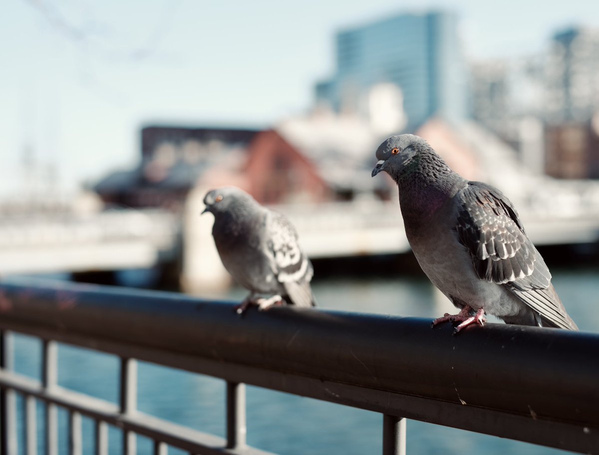 Charles Cleary tweet media