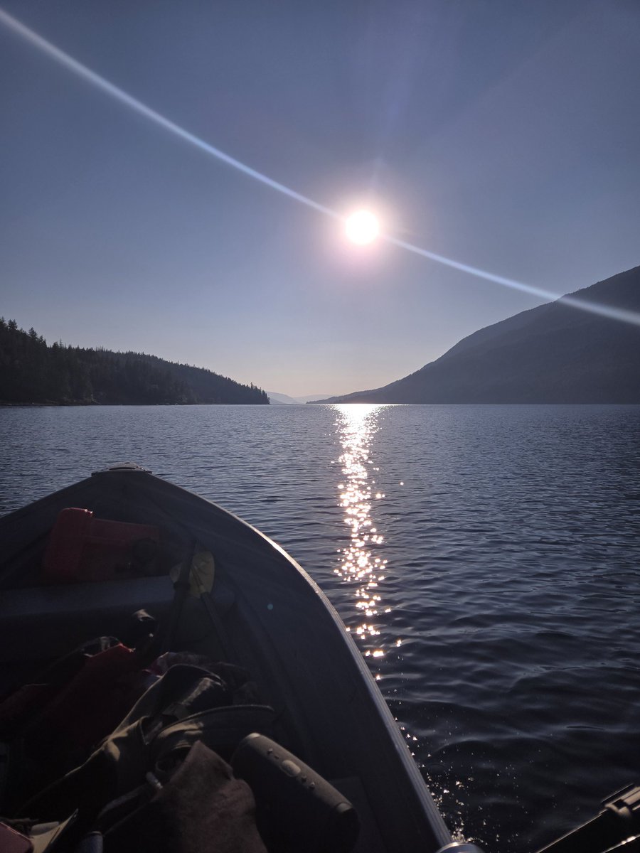 liquidwinter2's tweet image. Beautiful