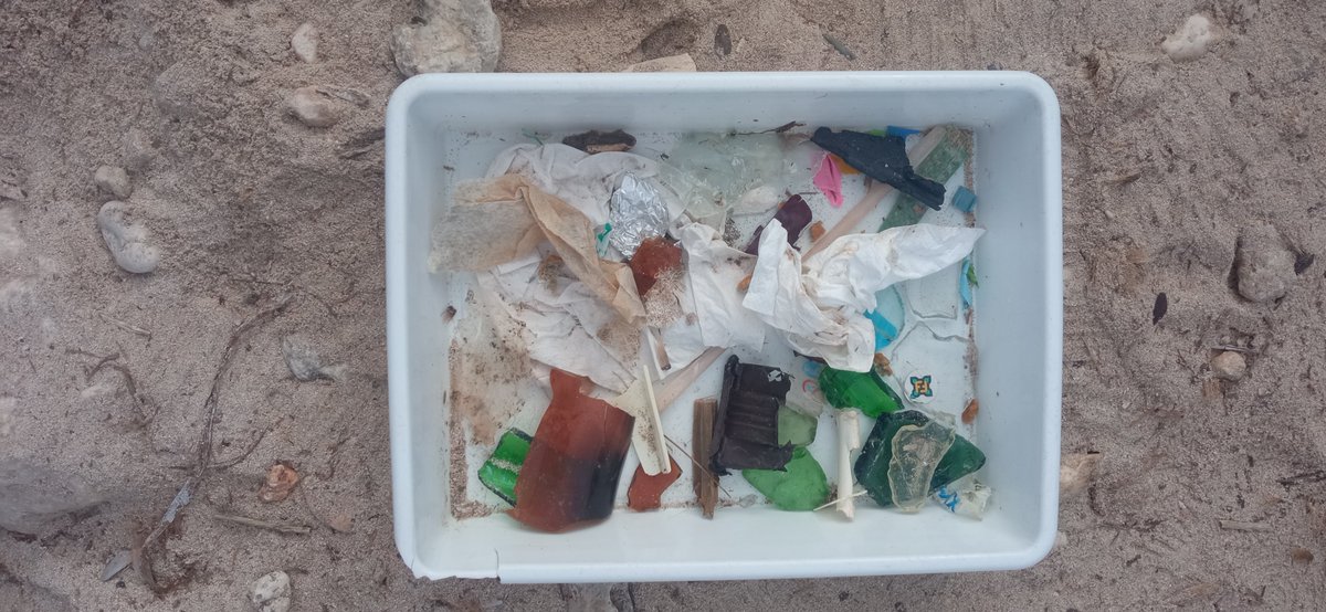 GOBMallorca's tweet photo. El 1993 un miler de persones van ocupar Cala Petita per reclamar la seva protecció i actualment és un dels darrers paratges verges de la costa manacorina. És important que els joves coneguin la història d'aquest paratge i reflexionin sobre els impactes que pateix aquesta platja. https://t.co/eGutNn4onE