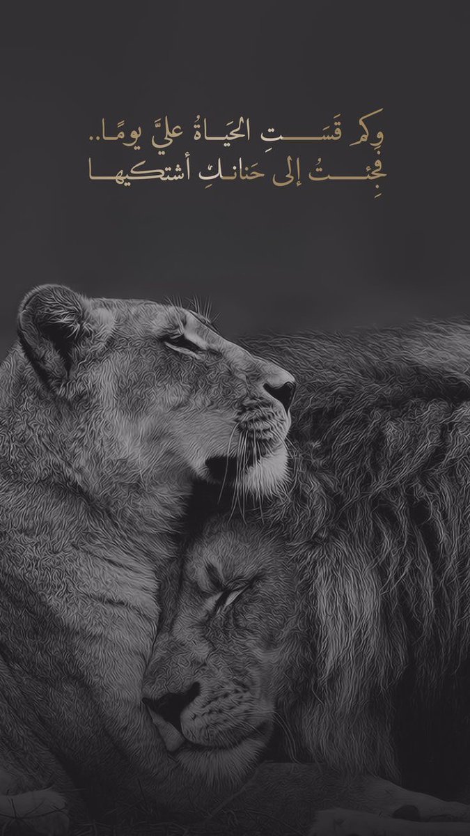 RodyElgo's tweet photo. وكم قَسَتِ الحَياةُ عليَّ يومًا..
فجئتْ إلى حَنانكِ أشتكيها.♥️ https://t.co/Idc1D67als