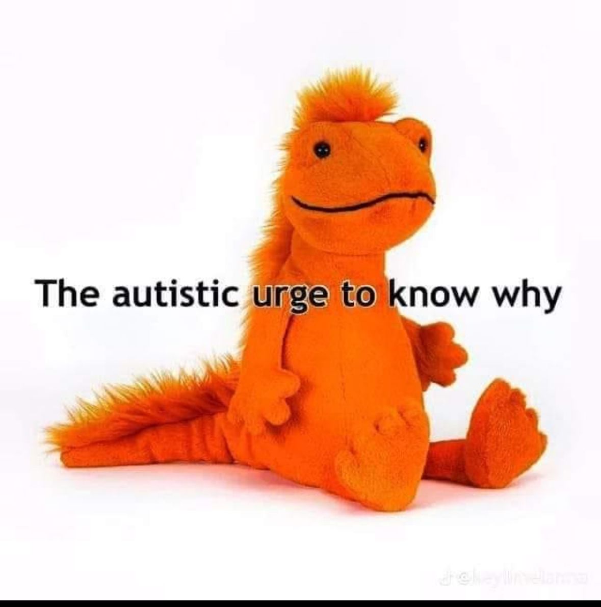 ADHD Memes (@adhdforreal) on Twitter photo 