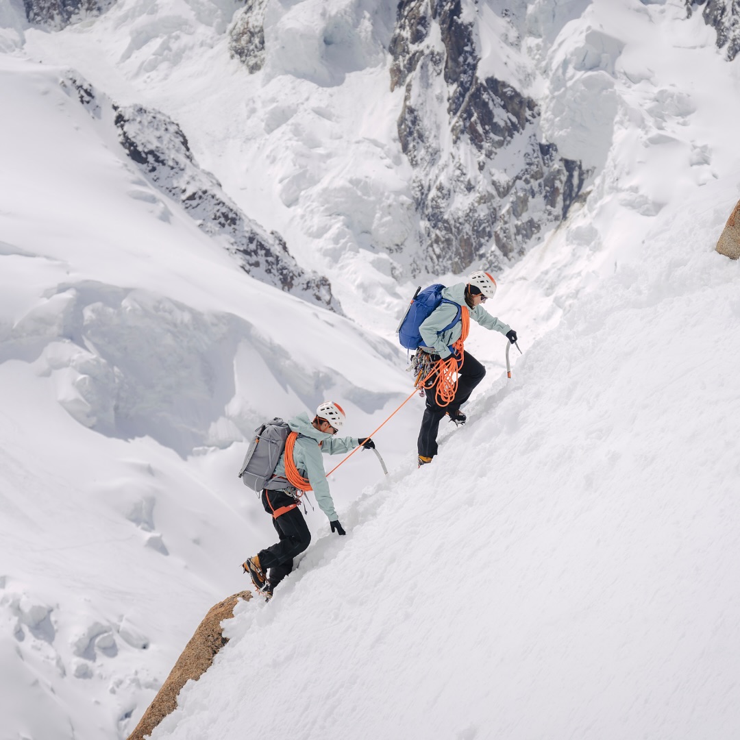 Montane tweet media