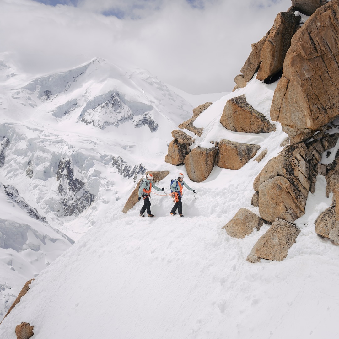 Montane tweet media