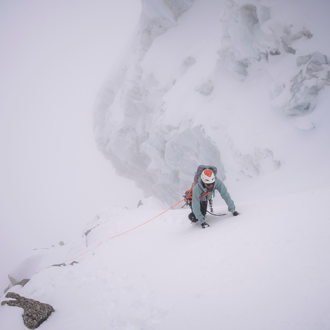 Montane tweet media