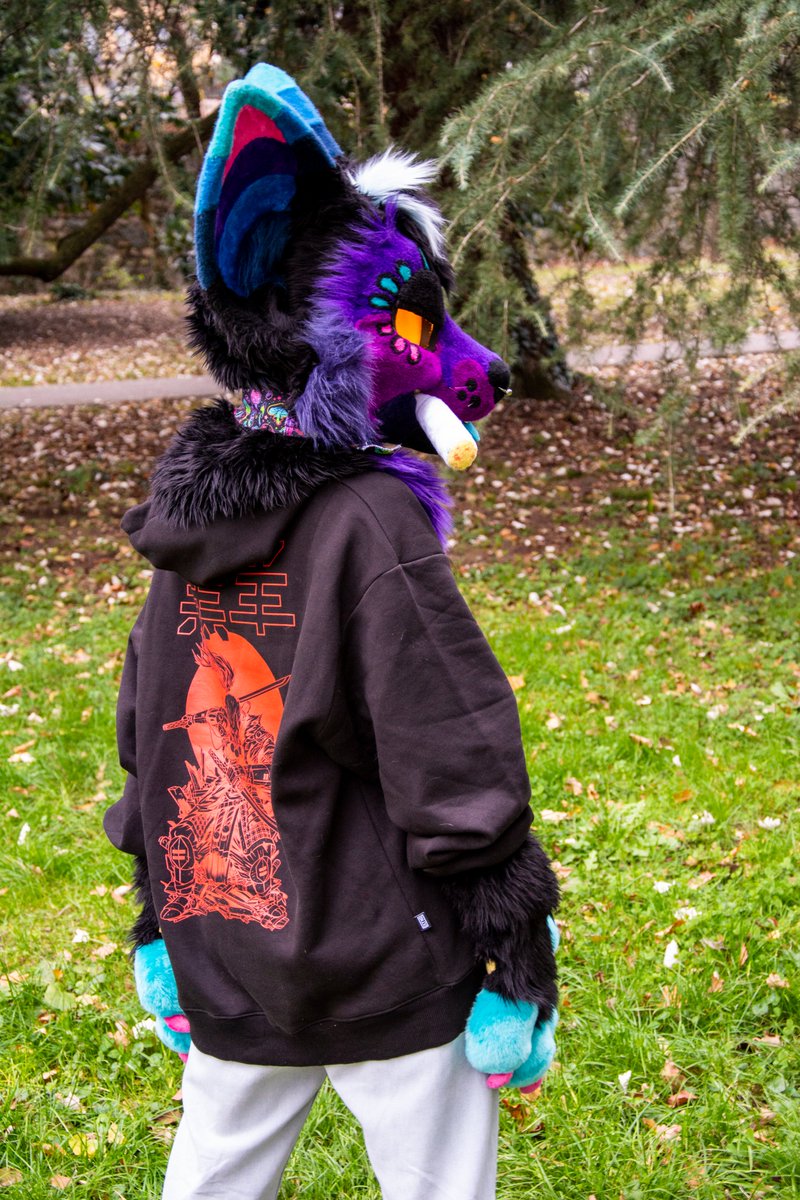 A Dollynoire testimonial wannabe. 
📸: <a href="/ThatBlueWolf96/">Tyto</a> 

#FursuitFriday