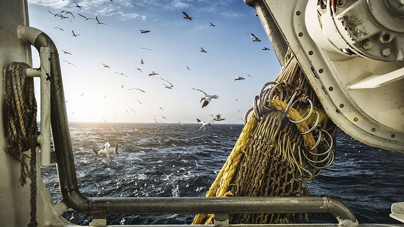 Marine Management Organisation tweet media