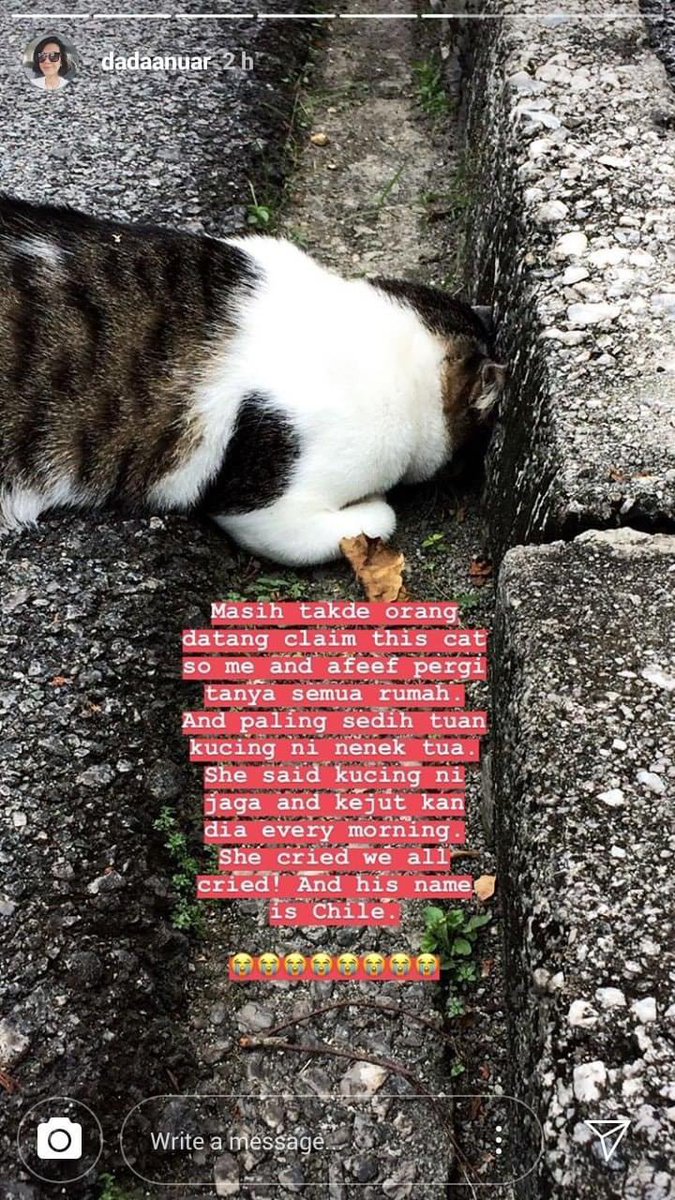lowongcat's tweet photo. 😭😭😭

ig: dadaanuar https://t.co/OaSFkzrAAr